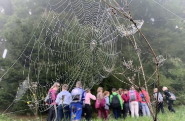 Po poti kulturne dediščine