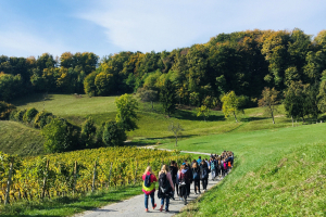 Športni dan, 18. 10. 2021